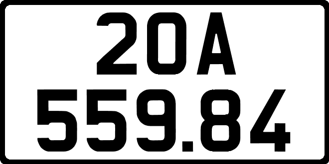 20A55984