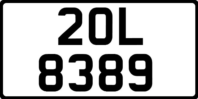 20L8389