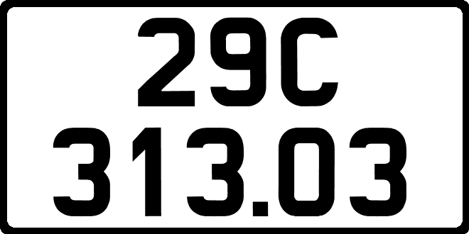 29C31303