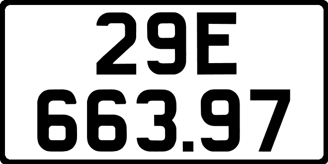 29E66397