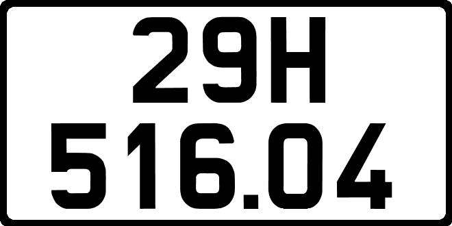 29H51604