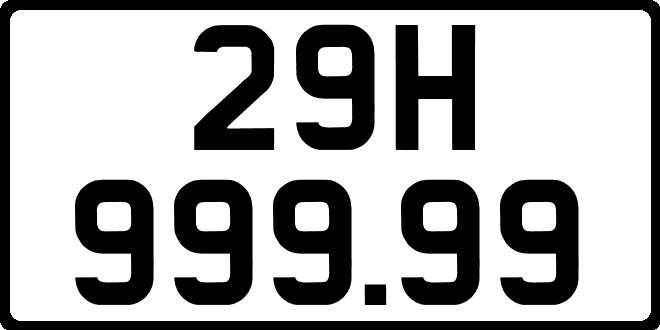29H99999