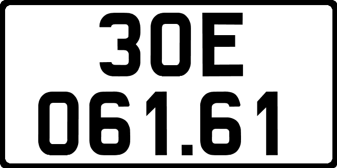 30E06161