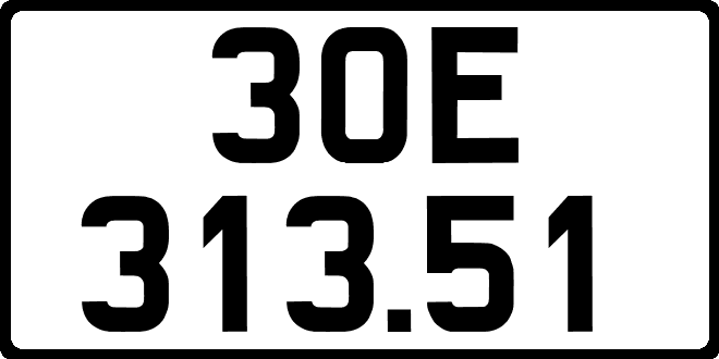 30E31351