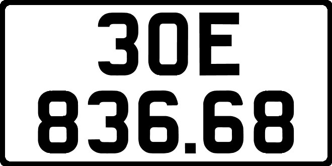 30E83668
