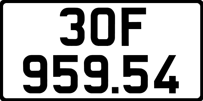 30F95954
