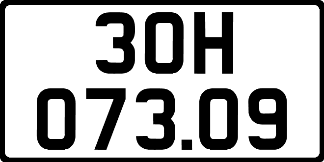 30H07309