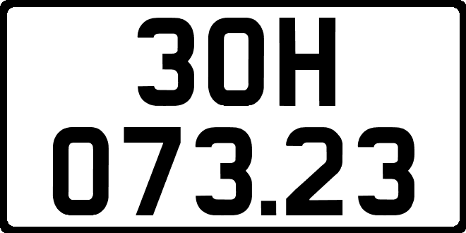 30H07323