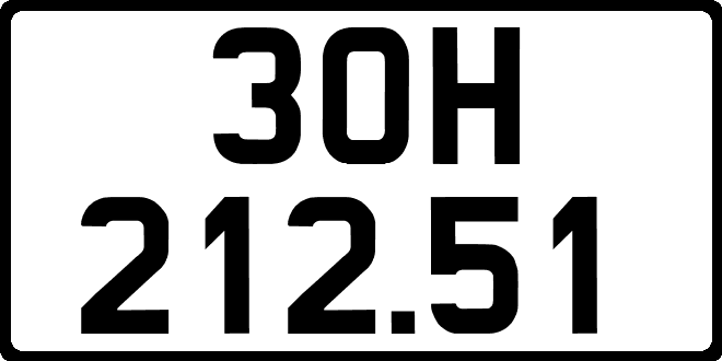 30H21251