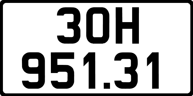 30H95131