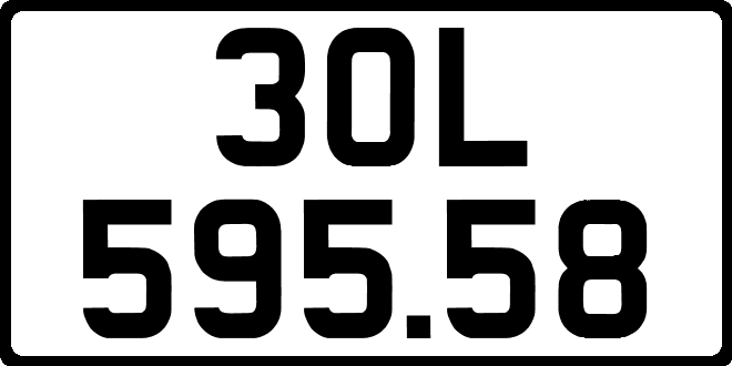 30L59558