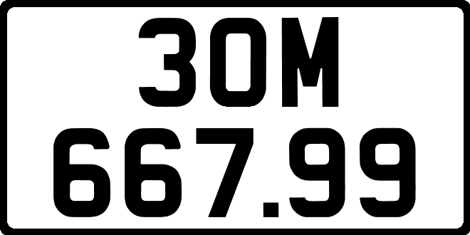 30M66799