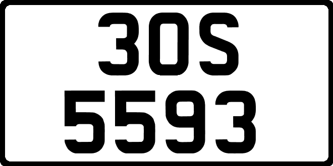30S5593
