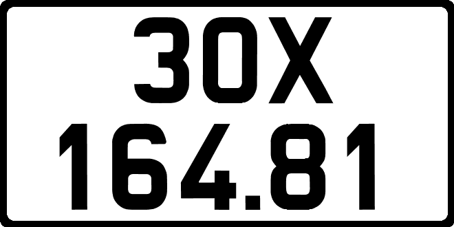 30X16481