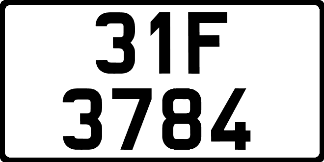 31F3784