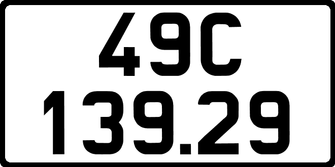 49C13929