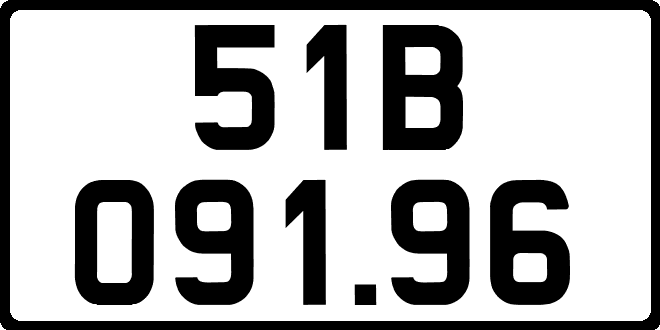 51B09196