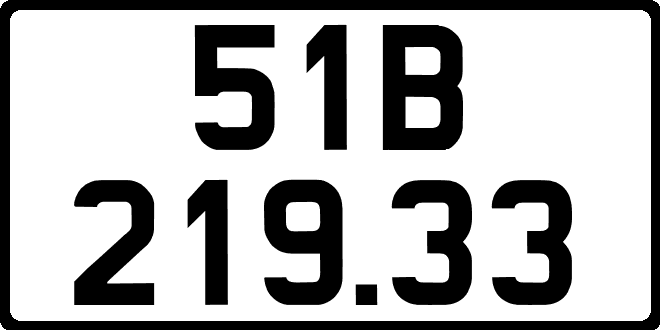 51B21933