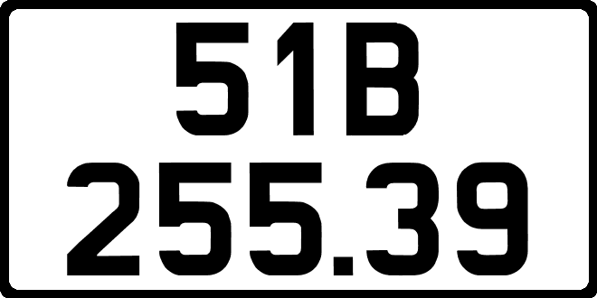 51B25539