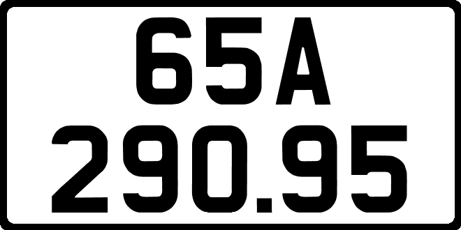 bien so xe 65A29095