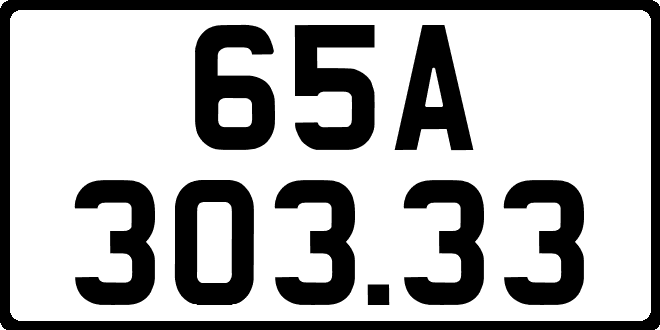 65A30333