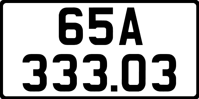 65A33303