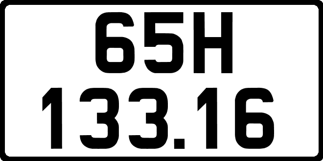 65H13316