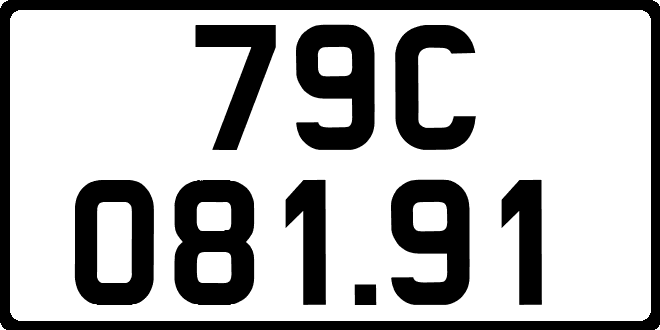 79C08191